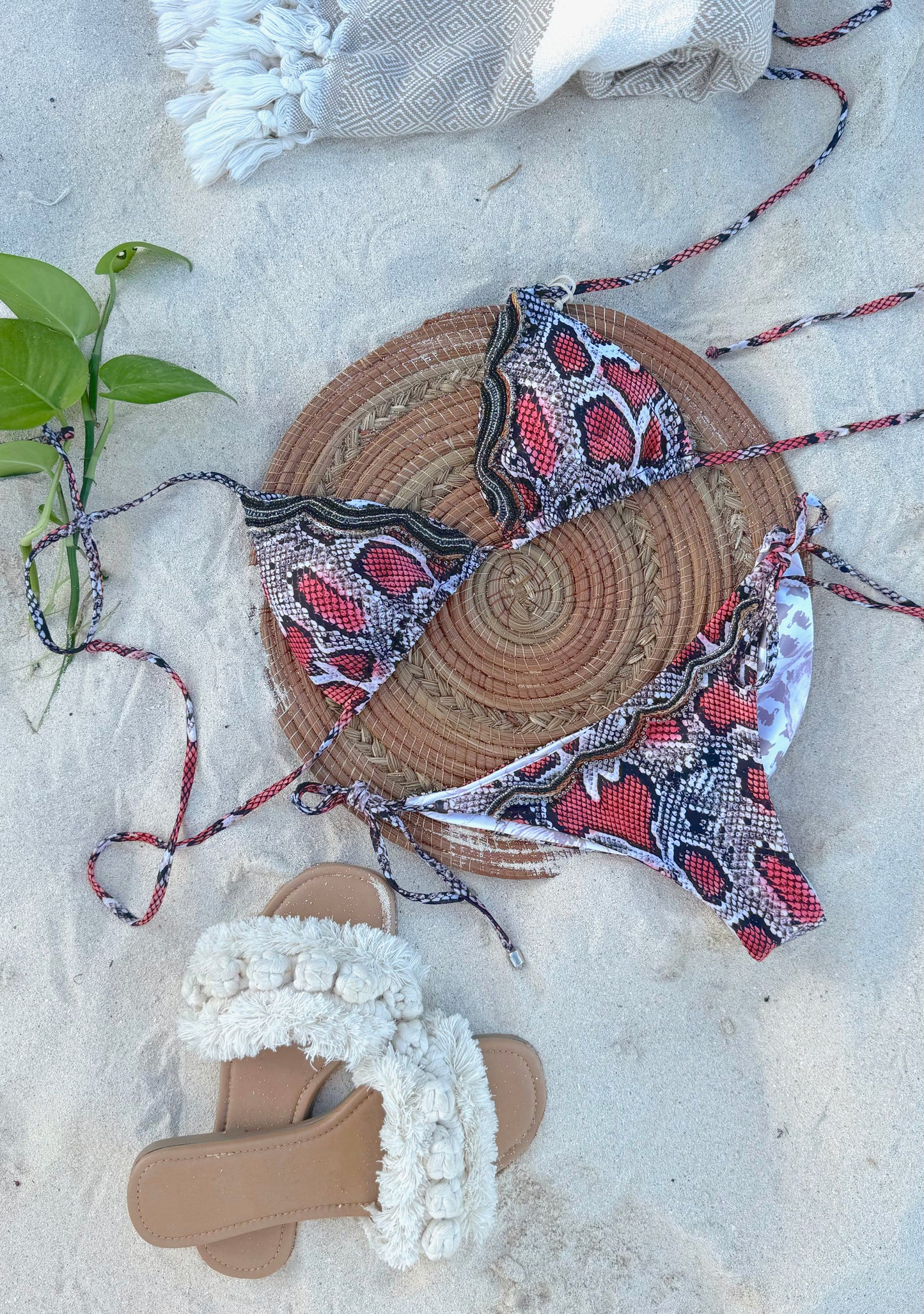 Bikini Serpentine
